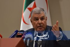 قيطوني : نطمح لتصدير 8 آلاف ميغاواط من الكهرباء