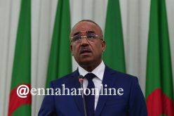 بدوي: استراتيجية المنتخبين على مستوى  البلديات بدون تكوين لا معنى لها