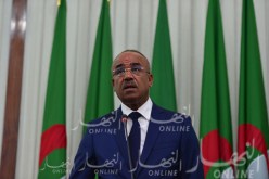 بدوي: الإنتقادات الموجهة للجزائر بخصوص المهاجرين..لا أساس لها من الصحة