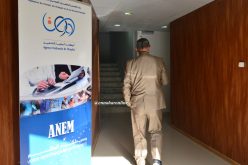 وزير العمل ينهي مهام مديرة الوكالة الولائية للتشغيل في تيبازة