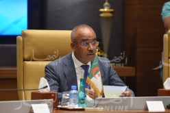 بدوي: العلاقة الجزائرية _ النيجيرية بحاجة إلى المرافقة