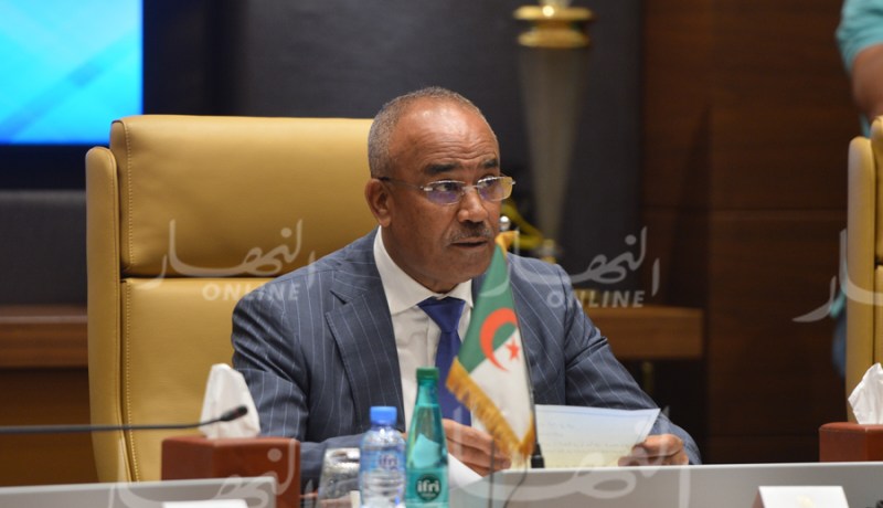 بدوي: العلاقة الجزائرية _ النيجيرية بحاجة إلى المرافقة