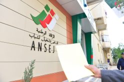 محلات تجارية لشباب أونساج.. كناك وأونجام