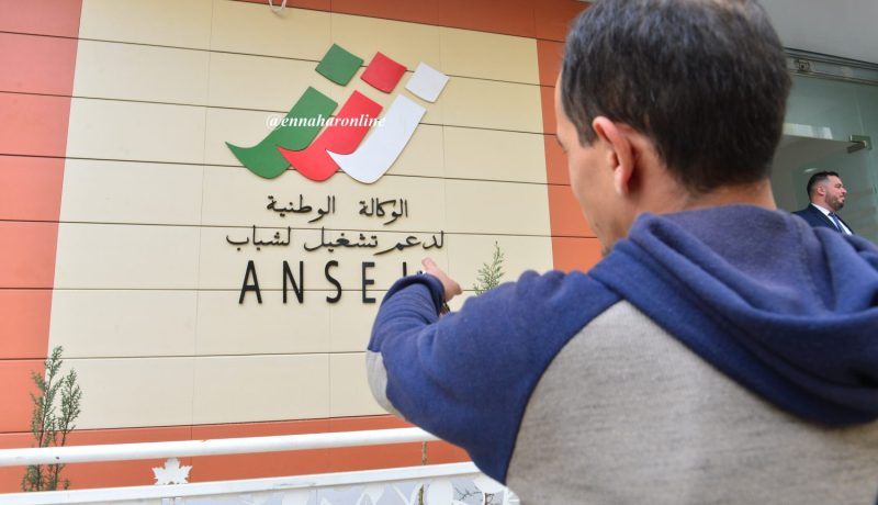 إعفاءات ضريبية لـ«الشومارة» لإنشاء مؤسسات..بشروط
