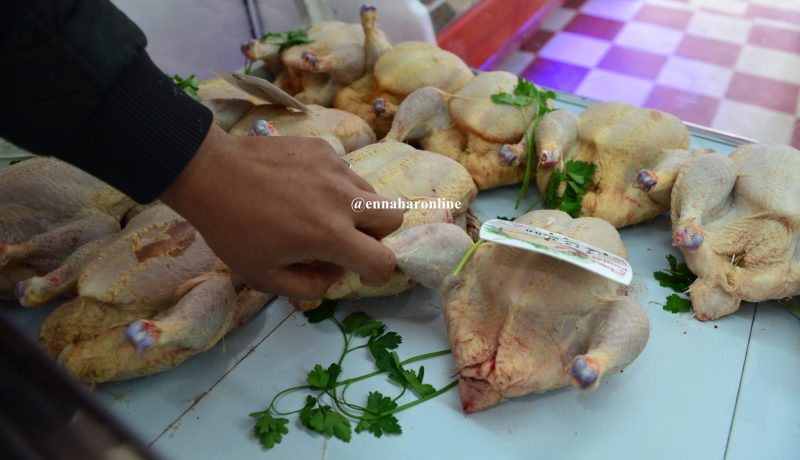 ســـعـــر الـــدجــــاج يــقــفــــز إلى 400 ديـــنـــــار للكلـــــغ
