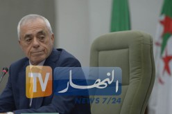 بوحجة :” بوتفليقة رسول السلام في العالم “