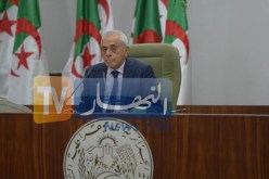 بوحجة :” الفلسطينيون أُخرجوا من ديارهم ولكن الكيان الصهيوني سيظل خارج التاريخ “