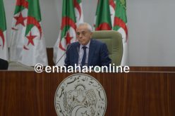 بوحجة :” زُج بإسمي في التنسيقية.. والإدارة السياسية ستأخذ بحقنا “