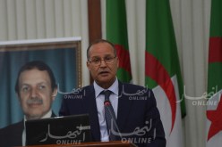 بوعزقي : عصرنة آليات الإرشاد الفلاحي والدعم الإستشاري لتطوير الفلاحة 