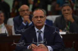 بوعزقي: “منحنا 50 ألف هكتار لطالبي الأراضي والراغبين في الإستثمار”