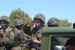 الجيش يحجز 700 طلقة ومواد لصناعة المتفجرات ببسكرة