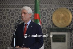 لوح: إستحداث إتفاق مؤسساتي بين دول إفريقيا في مجال القضاء