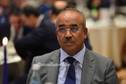 بدوي: نواب البرلمان يخلطون بين الأمور الخاصة ومصلحة المواطن