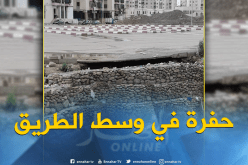 انهيار جزء من محطة نقل المسافرين بأولاد يعيش في البليدة