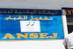 9.920 مليون دج قيمة المشاريع الممونة من طرف وكالة دعم تشغيل الشباب بالبليدة