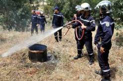 تنصيب عبر ولاية خنشلة الهياكل العملية لمكافحة حرائق الغابات