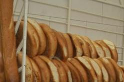 الخبازون يباشرون إجراءات مقاضاة مجمع سونلغاز