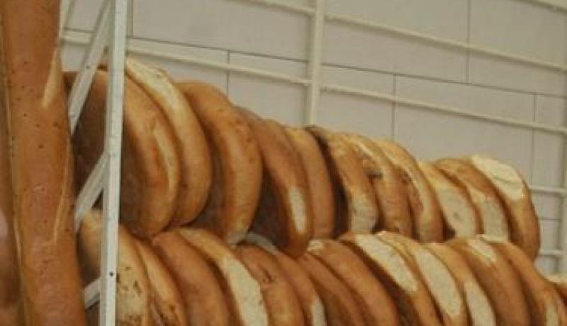 الخبازون يباشرون إجراءات مقاضاة مجمع سونلغاز