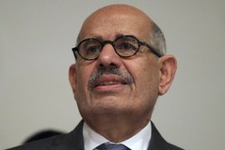 نائب الرئيس المصري المستقيل محمد البرادعي في فيينا