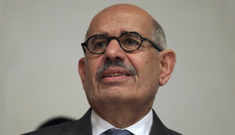 نائب الرئيس المصري المستقيل محمد البرادعي في فيينا