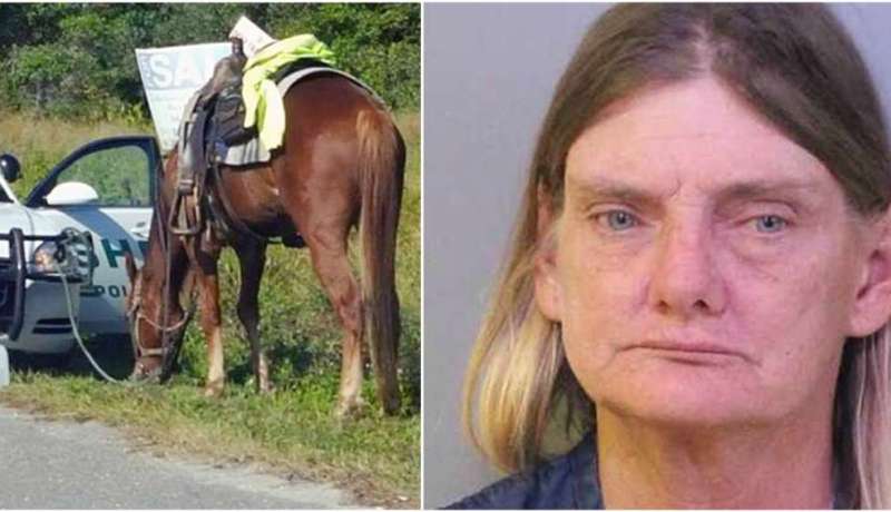 القبض على امرأة لركوبها حصان في حالة سُكر