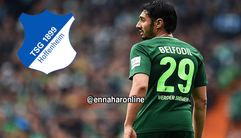 بلفوضيل ضمن اهتمامات هوفنهايم الألماني