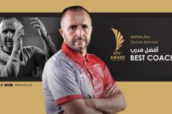 مشوار جمال بلماضي التدريبي !