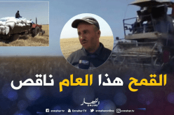 البَرَد يقلّص من إنتاج القمح بتلمسان