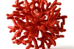 نهب 50 قنطارا من المرجان وتهريبها إلى إيطاليا وفرنسا