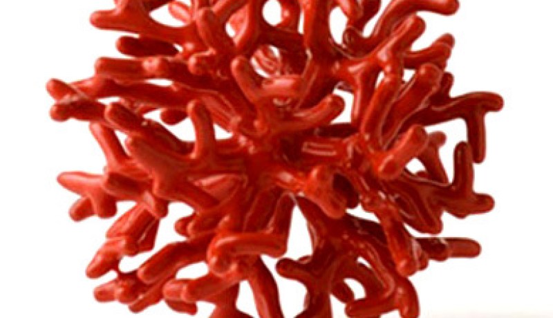 نهب 50 قنطارا من المرجان وتهريبها إلى إيطاليا وفرنسا