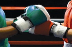 أعضاء الاتحادية الجزائرية للملاكمة يصادقون على القوانين الجديدة المسيرة للاتحاديات