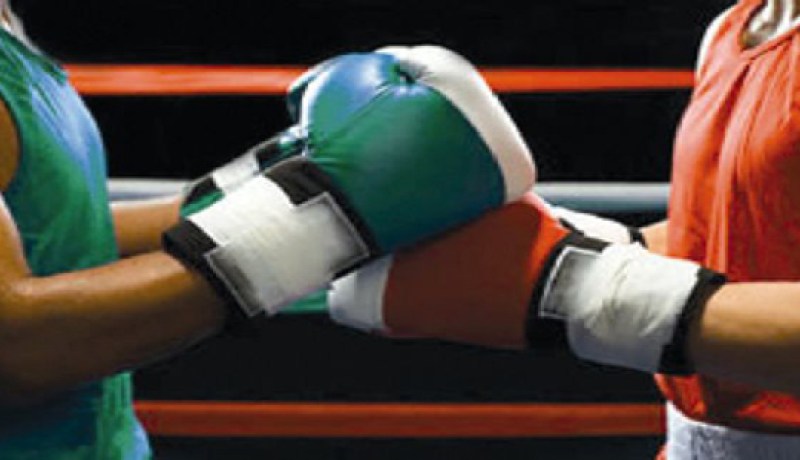 أعضاء الاتحادية الجزائرية للملاكمة يصادقون على القوانين الجديدة المسيرة للاتحاديات