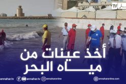 وزارة البيئة تفتح تحقيقا حول حادثة تسمم مواطنين في شاطئ تنس بالشلف