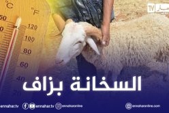 أجواء حارة ودرجات حرارة قياسية خلال العيد