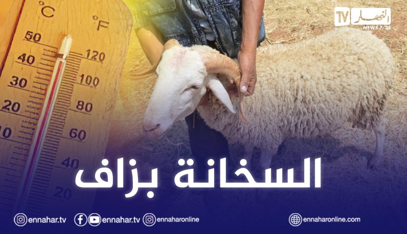 أجواء حارة ودرجات حرارة قياسية خلال العيد