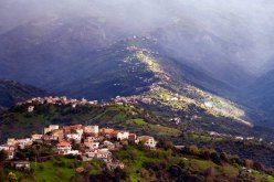 أرمل قبائلي يريدك صدرا حنونا لأبنائه الأيتام