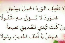 إنصحوني إذا أخطأت وشجعوني إذا أصبت