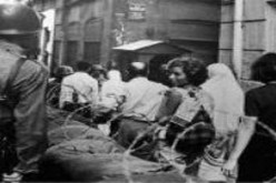 ندوة حول  دور الفنانين أثناء الثورة التحريرية