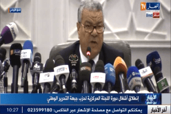 سعيداني يؤكد أن الأفلان هو قاطرة أي عمل سياسي