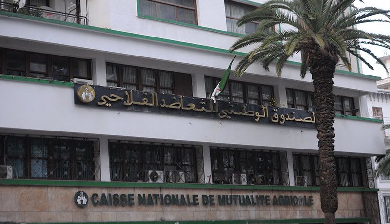 خدمات بنكية للفلاحين عن طريق الأنترنيت…وهذه هي التفاصيل
