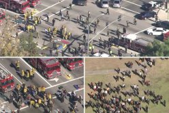 بالصور قوات الامن تطوق مقر اطلاق النار في كاليفورنيا والحصيلة الرسمية 12 قتيلا