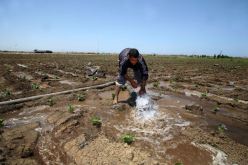 بوعزقي: «سنسحب الأراضي المسقية بالزيڤو من الفلاحين» !