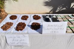 معسكر: تفكيك شبكة إجرامية مختصة في النصب عبر شبكة الانترنت