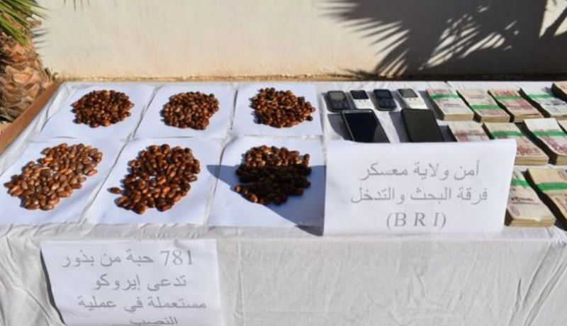 معسكر: تفكيك شبكة إجرامية مختصة في النصب عبر شبكة الانترنت