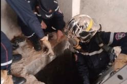 وفد وزاري يحل ببجاية للوقوف على حادث وفاة 8 أشخاص بمحطة تصفية المياه