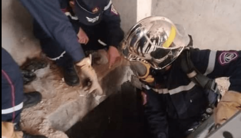 وفد وزاري يحل ببجاية للوقوف على حادث وفاة 8 أشخاص بمحطة تصفية المياه