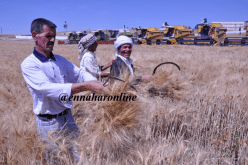 70٪ من تكاليف الحصاد على الدولة وقروض بـ 100 مليون..قريبا