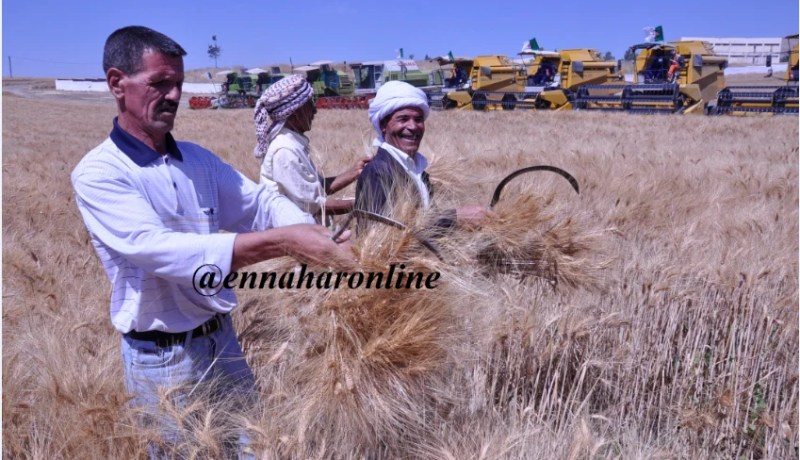 70٪ من تكاليف الحصاد على الدولة وقروض بـ 100 مليون..قريبا