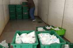 شراء صندوق من حليب البقرة مقابل 10 صناديق حليب «شكارة»!