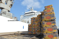 نهاية “المونوبول” على استيراد الموز واللحم و”ليزابا”!